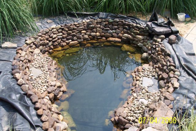 new_pond17.jpg